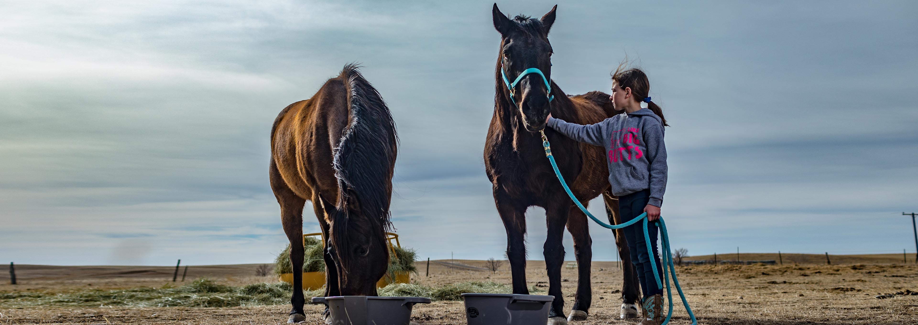 Lassle Ranch Simmentals