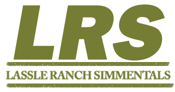 Lassle Ranch Simmentals
